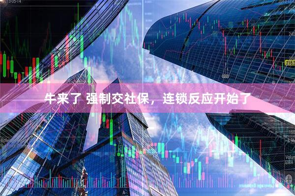 牛来了 强制交社保，连锁反应开始了