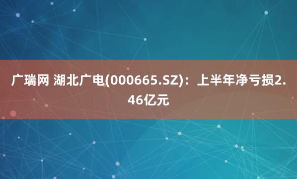 广瑞网 湖北广电(000665.SZ)：上半年净亏损2.46亿元