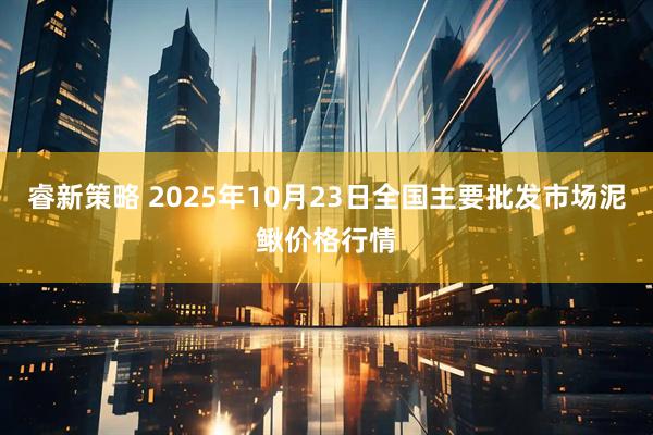 睿新策略 2025年10月23日全国主要批发市场泥鳅价格行情