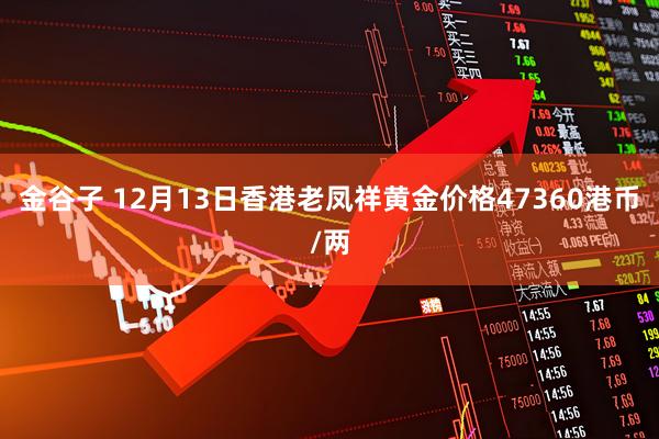金谷子 12月13日香港老凤祥黄金价格47360港币/两
