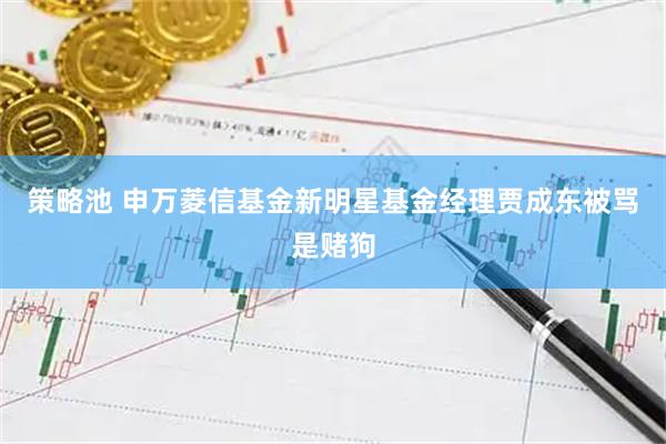 策略池 申万菱信基金新明星基金经理贾成东被骂是赌狗